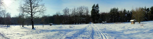 Panorama Ett Vinterlandskap — Stockfoto
