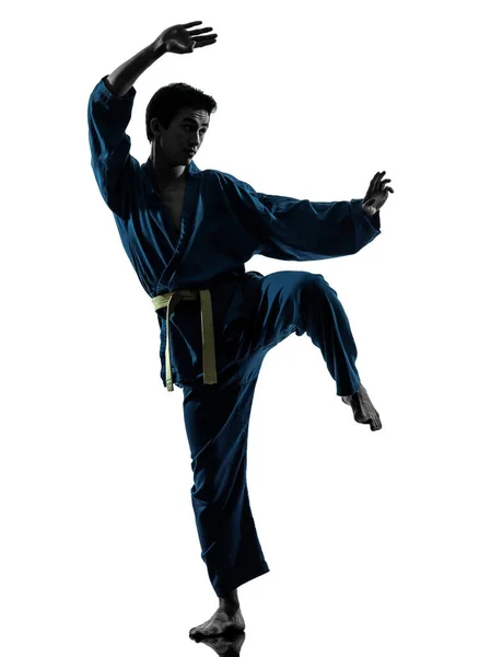 Asiatico Giovane Uomo Esercitare Marziale Arti Karate Vietvodao Silhouette Studio — Foto Stock