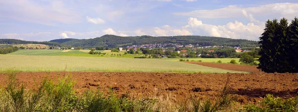Jordbruksmark Majsfält Landsbygden — Stockfoto