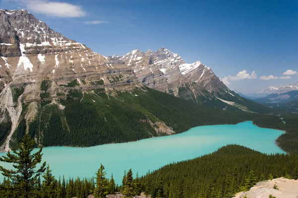 Turkos Vatten Peyto Lake Banff National Park Vildmark Alberta Kanada — Stockfoto