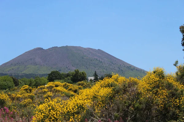 Vesuvio Famosa Collina Napoli — Foto Stock