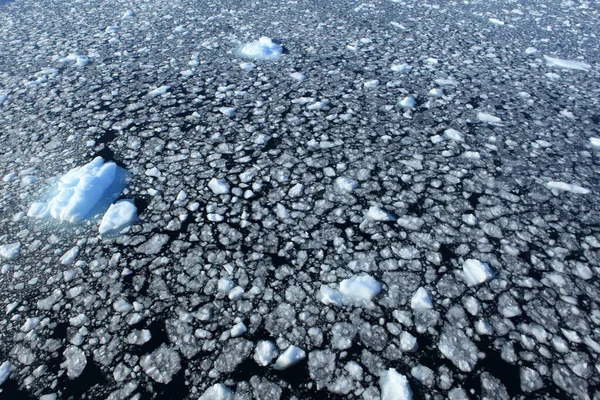 Дрейфующий Лед Антарктиды — стоковое фото