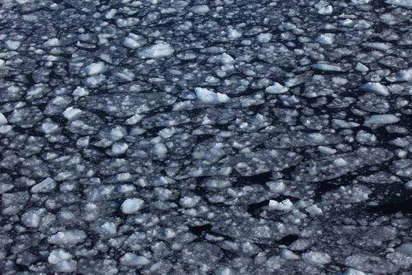 Gelo Deriva Antártica — Fotografia de Stock
