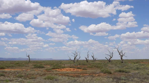 Australien Officiellt Samväldet Australien Ett Suveränt Land Som Omfattar Fastlandet — Stockfoto