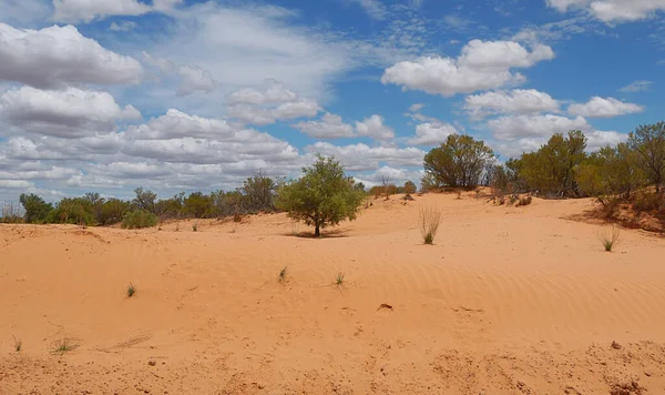 Australien Offiziell Commonwealth Australia Ist Ein Souveränes Land Das Das — Stockfoto