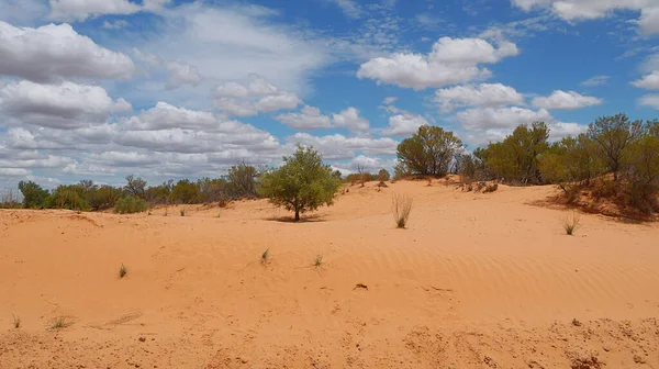 Australien Offiziell Commonwealth Australia Ist Ein Souveränes Land Das Das — Stockfoto