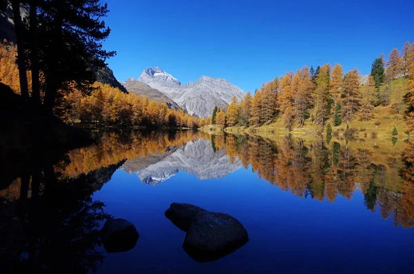 Lai Palpuogna Engadin Albula Larks Lake — Stock Photo, Image