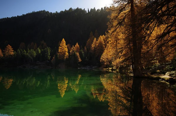 Lai Palpuogna Engadin Albula Skowronek Jezioro — Zdjęcie stockowe