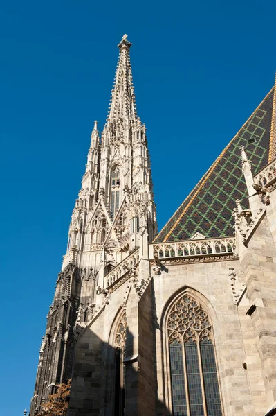 Részlet Híres Szent István Katedrális Bécs Ausztria — Stock Fotó