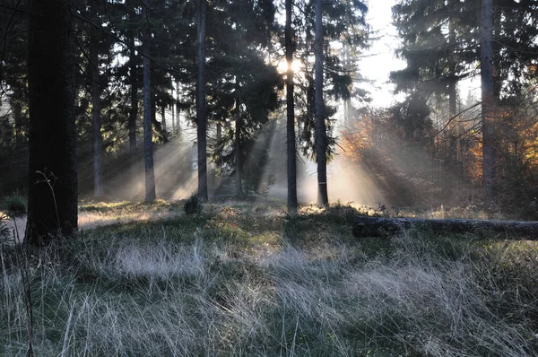 Schöne Aussicht Auf Die Natur — Stockfoto