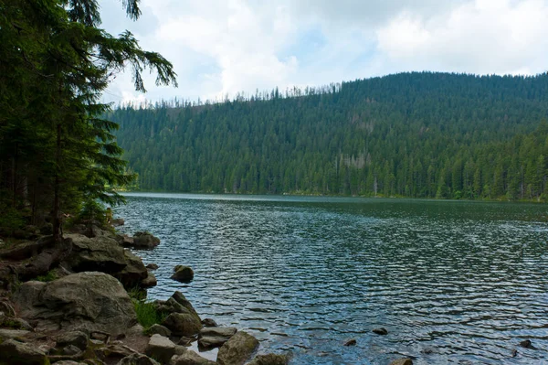 Black Lake Grand Lac Naturel République Tchèque Est Situé Dans — Photo