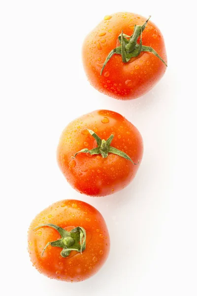 红熟西红柿 — 图库照片