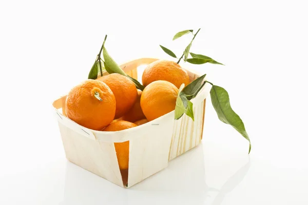 Closeup Citrus Fruits Stock Image