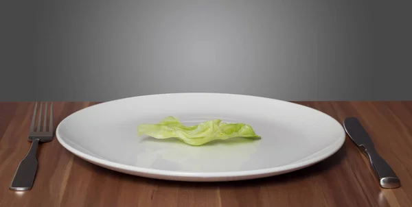 白い皿の上にレタスの葉 — ストック写真
