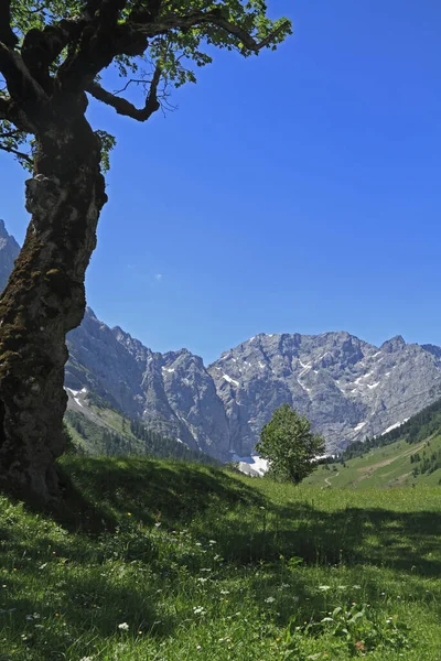 Açık Hava Manzarasının Resimsel Görüntüsü — Stok fotoğraf