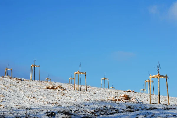 Vindkraftverk Stranden Öknen — Stockfoto