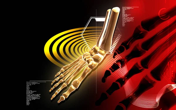Digitális Illusztráció Láb Csont Színben Háttér — Stock Fotó