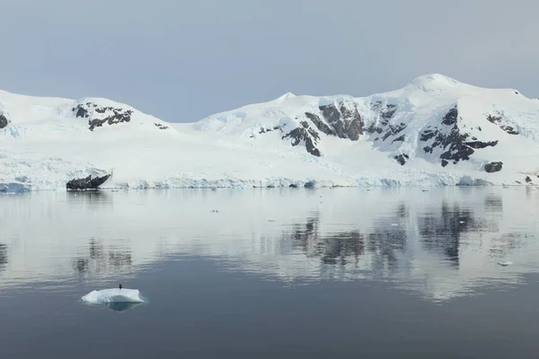 Laguna Glaciar Iceberg Maravilla Natural — Foto de Stock