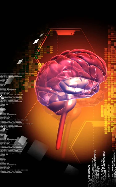 Цифрова Ілюстрація Мозку Кольоровому Фоні — стокове фото