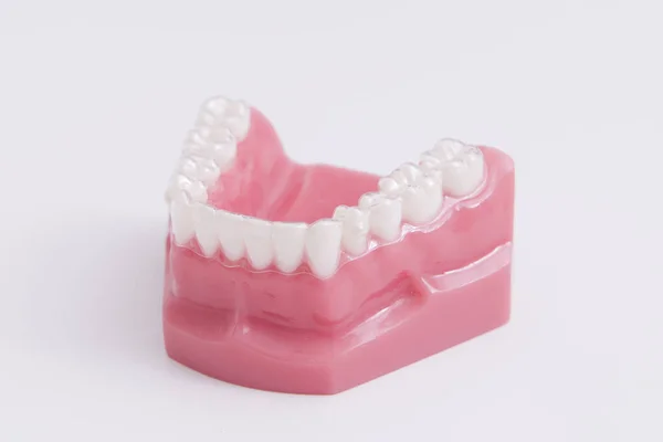 Lower Jaw Denture — Stock Photo, Image