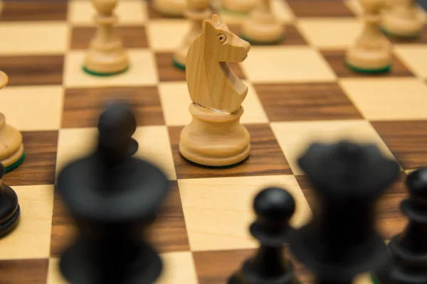 Šachové Figurky Turnajová Hra Stolní Sport — Stock fotografie