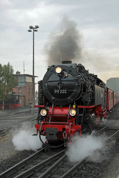 Locomotora Vapor Los Ferrocarriles Vía Estrecha Harz —  Fotos de Stock