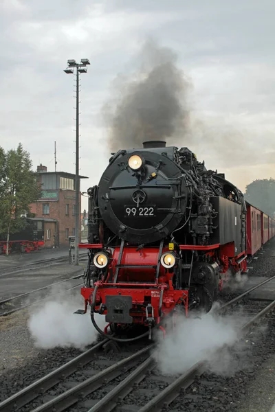 Harz Keskeny Nyomtávú Vasút Gőzmozdonya — Stock Fotó