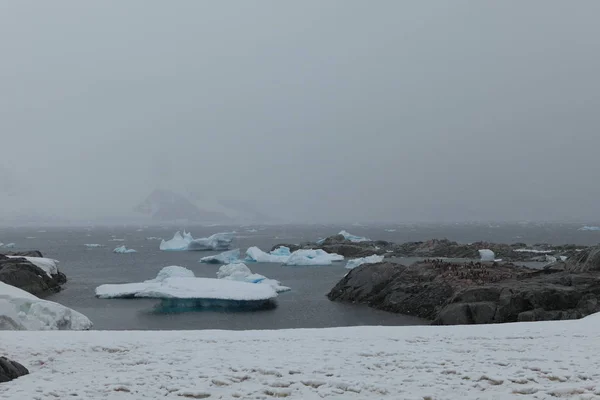 南極のパラダイスベイは — ストック写真
