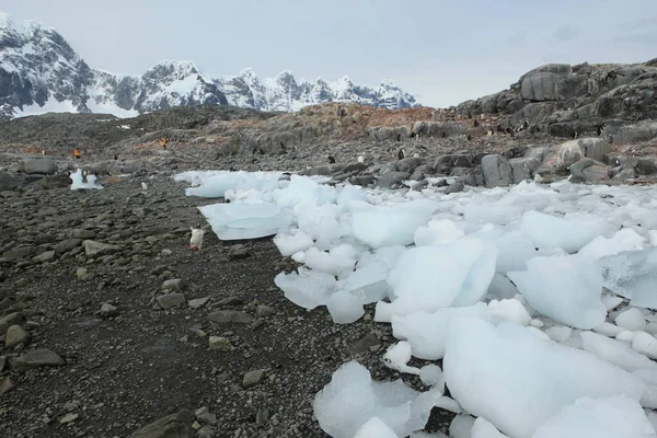 Cambio Climático Iceberg Ártico —  Fotos de Stock