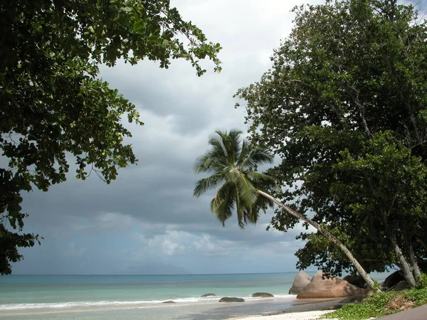 Pantai Seychelles Seychelles — Stok Foto