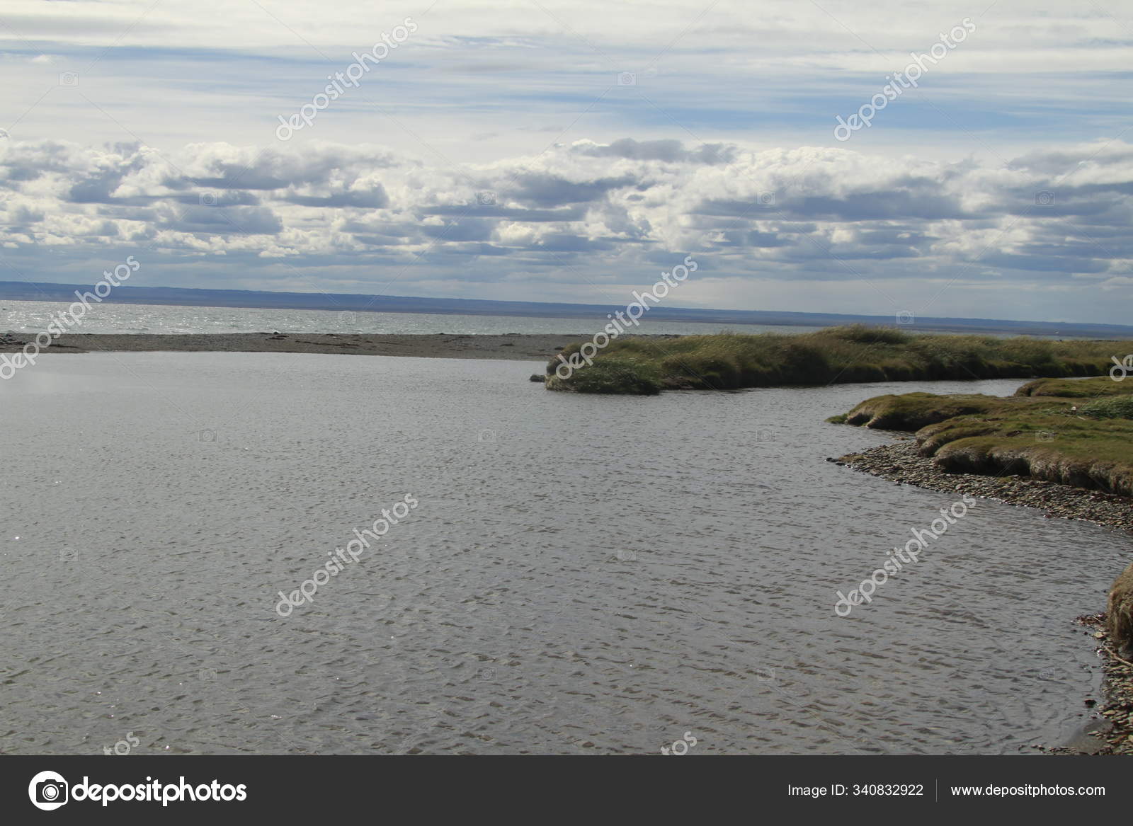 Parqueparque Pinguino Rey King Penguin Park Tierra Del Fuego — Stock