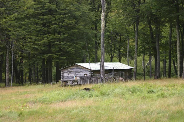 Καμπίνα Καταπράσινο Δάσος Στο Chalten Forest Παταγανία — Φωτογραφία Αρχείου