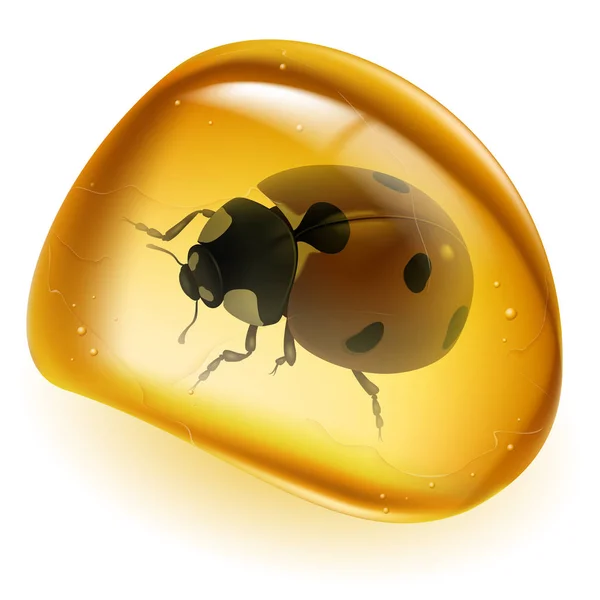 Amber和Beetle 用于设计的白色背景说明 — 图库照片