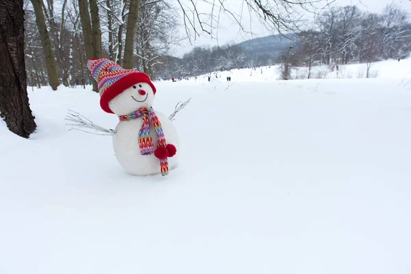 Bonhomme Neige Avec Capuche Écharpe Dans Paysage Hivernal — Photo