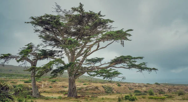 Kaap Stad Zuid Afrika — Stockfoto