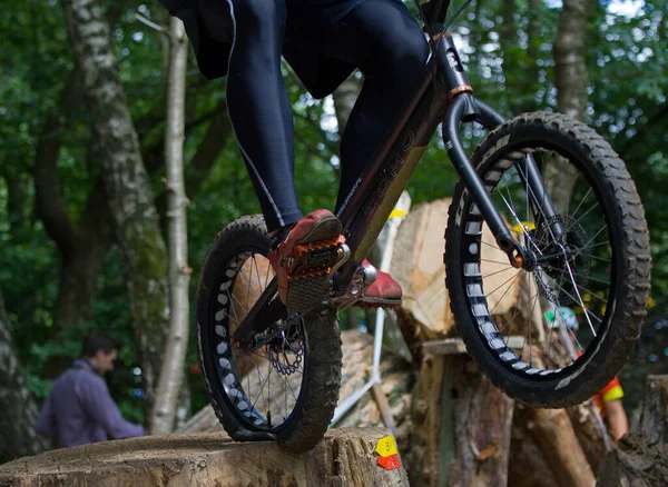 Cycliste Dans Forêt — Photo