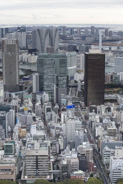 Tokio Panorama Tokyo Tower Záběr Město — Stock fotografie