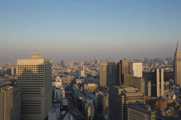 Panoramautsikt Över Centrala Tokyo Tas Från 42Nd Golvet Shinjuku Distrikt — Stockfoto