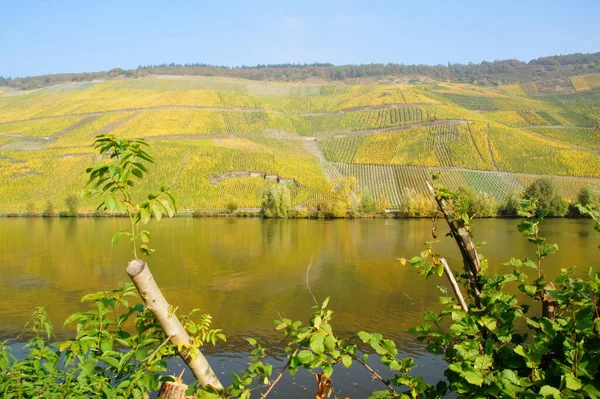 Situação Vinho Wehlener Relógio Sol Mosel Através Bernkastel Wehlen — Fotografia de Stock