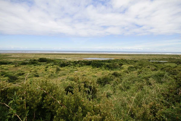 Parque Nacional Chiloe — Stockfoto