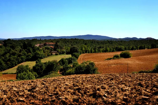 Paysage Toscan Italie Centrale — Photo