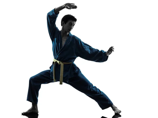 Ένας Νεαρός Ασιάτης Που Ασκεί Πολεμικές Τέχνες Karate Vietvodao Στούντιο — Φωτογραφία Αρχείου