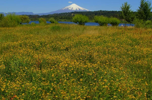 屋外シーンの絵のような景色 — ストック写真