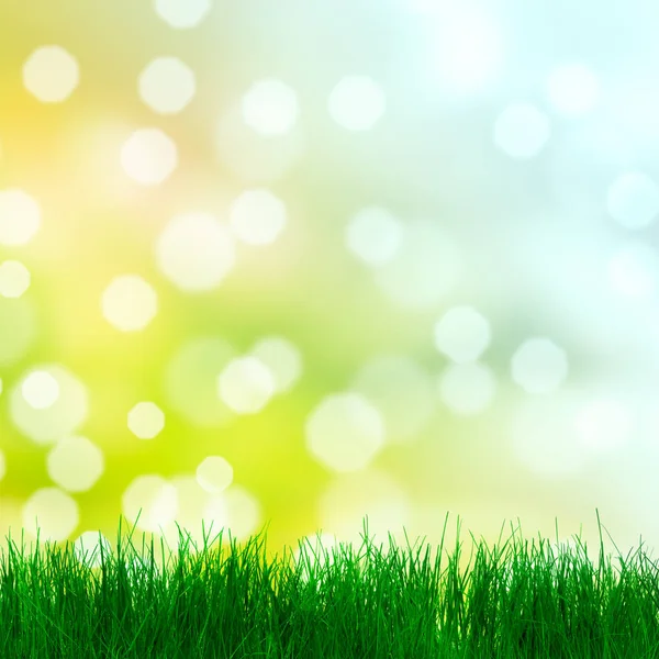 Spring Background Grass — Stock Photo, Image