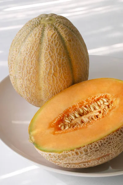 Melon Natural Light — Stock Photo, Image