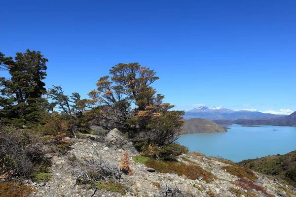 Torres Del Paine Nemzeti Park Chilében Patagónia Régió Ismert Szárnyaló — Stock Fotó