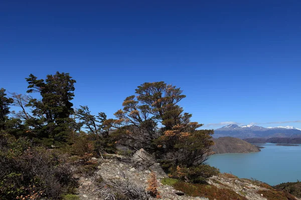 Patagonya Bölgesindeki Torres Del Paine Ulusal Parkı Yükselen Dağlarıyla Bilinir — Stok fotoğraf