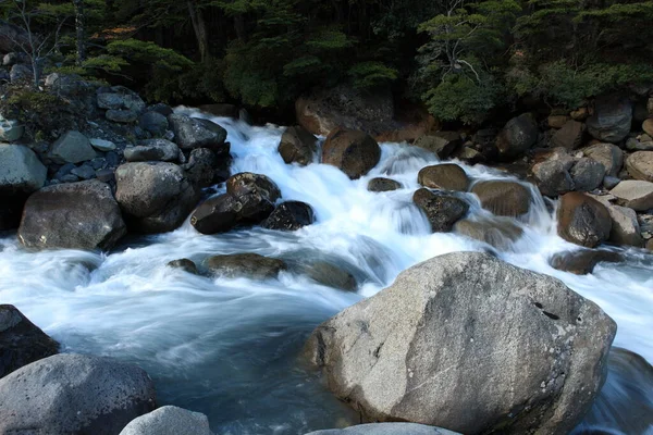 Patagonya Bölgesindeki Torres Del Paine Ulusal Parkı Yükselen Dağlarıyla Bilinir — Stok fotoğraf