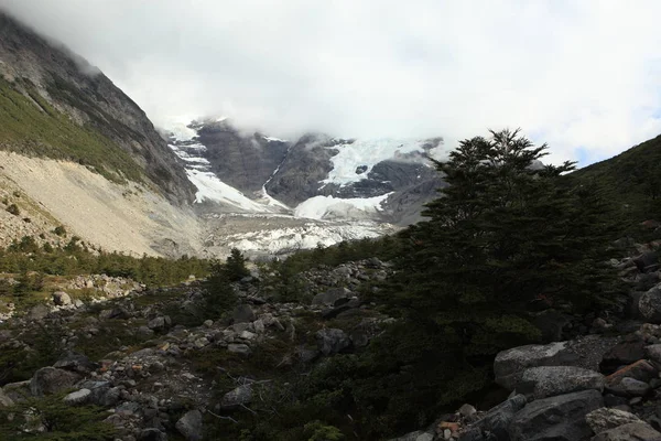 Parco Nazionale Torres Del Paine Nella Patagonia Cilena Noto Sue — Foto Stock