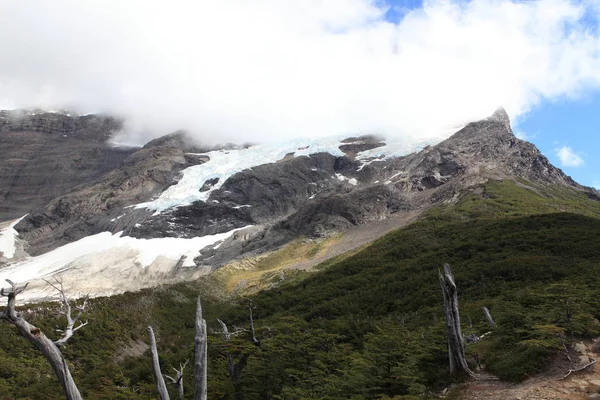 Der Nationalpark Torres Del Paine Der Region Chiles Patagonien Ist — Stockfoto